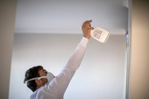 Trusted Wescosville, PA Mold Remediation Experts