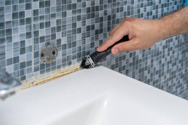 Best Preventive Mold Services in Wescosville, PA