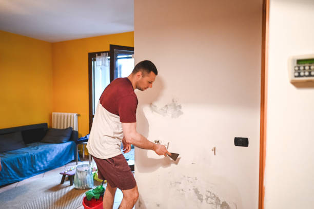 Best Attic Mold Remediation in Wescosville, PA